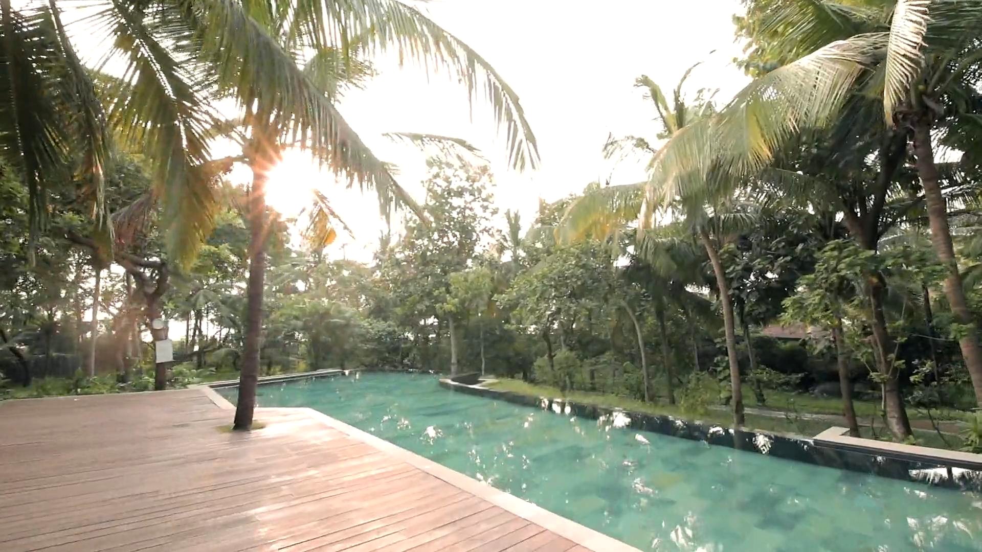 A long pool on the estate, the sun breaking through coconut palms above a timber deck