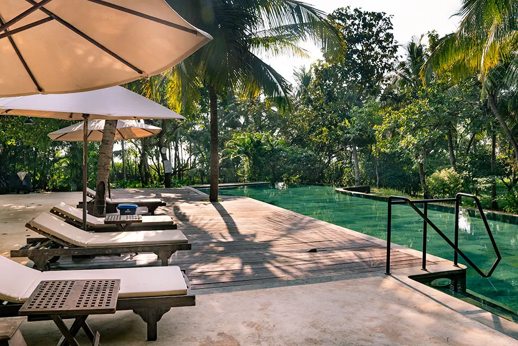Sun loungers and umbrellas on a timber deck beside a long green pool under the palms
